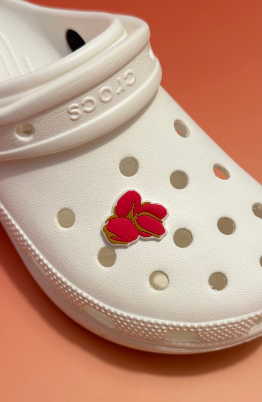 Pin’s Crocs - Boutons de Roses