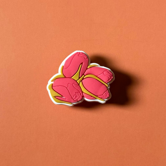 Pin’s Crocs - Boutons de Roses