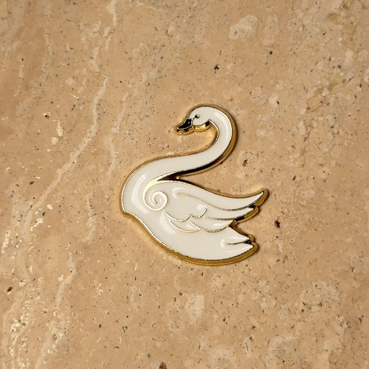 Cygne – photo 2